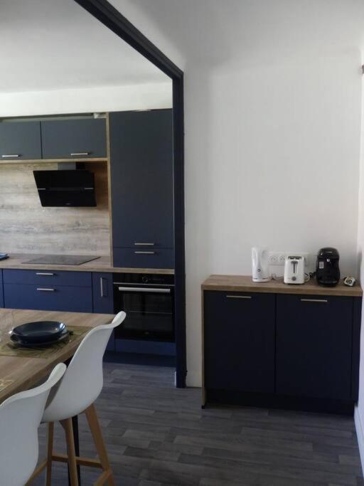 Spacieux Appartement Au Pied De La Cite Medievale Каркассон Экстерьер фото